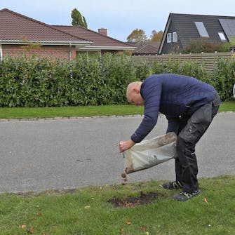 Bare flekker i plenen: Legg litt sand på området Bare flekker i plenen: Legg litt sand på området